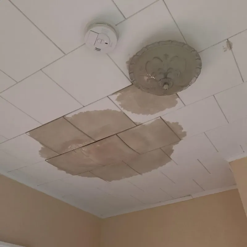 Ceiling Water Damage Repair in Frederickson, WA