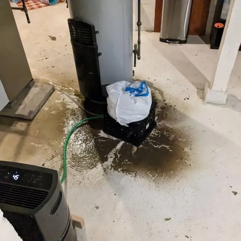 Sewage Backup Cleanup Service in Frederickson, WA